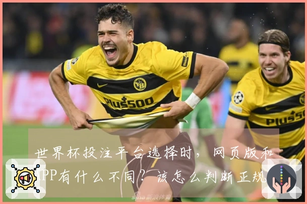 世界杯投注平台选择时，网页版和APP有什么不同？该怎么判断正规性和安全性？