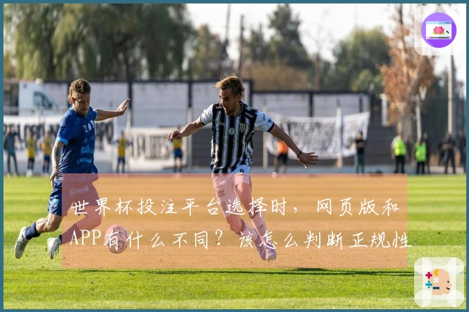 世界杯投注平台选择时，网页版和APP有什么不同？该怎么判断正规性和安全性？