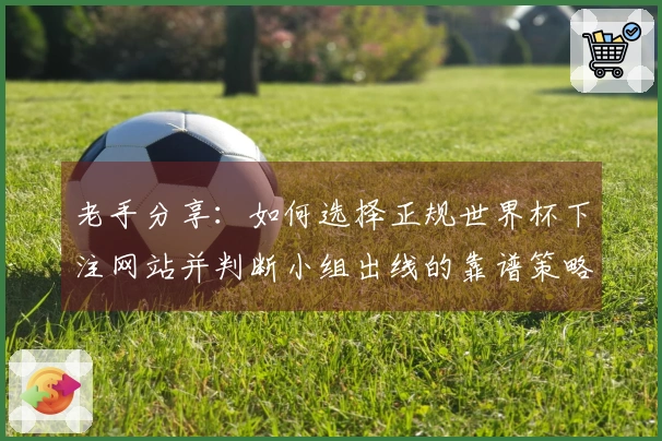 老手分享：如何选择正规世界杯下注网站并判断小组出线的靠谱策略