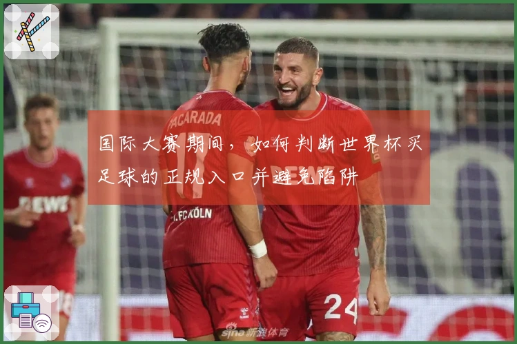 国际大赛期间，如何判断世界杯买足球的正规入口并避免陷阱