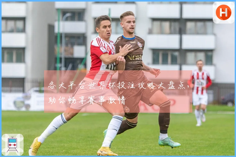 各大平台世界杯投注攻略大盘点，助你畅享赛事激情