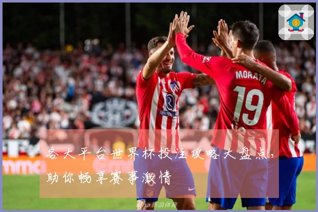 各大平台世界杯投注攻略大盘点，助你畅享赛事激情