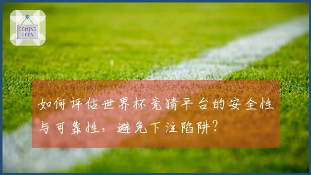 如何评估世界杯竞猜平台的安全性与可靠性,避免下注陷阱?