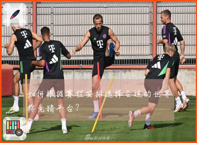 如何根据赛程安排选择合适的世界杯竞猜平台？