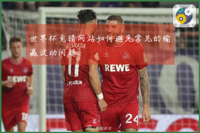 世界杯竞猜网站如何避免常见的输赢波动问题？