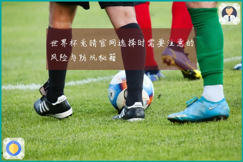 世界杯竞猜官网选择时需要注意的风险与防坑秘籍