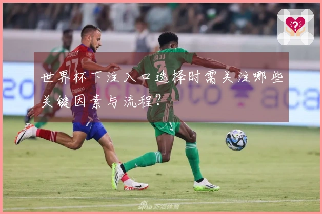 世界杯下注入口选择时需关注哪些关键因素与流程？