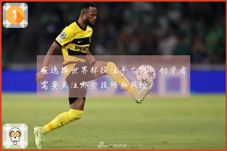 在选择世界杯投注平台时，初学者需要关注哪些技巧和风险？