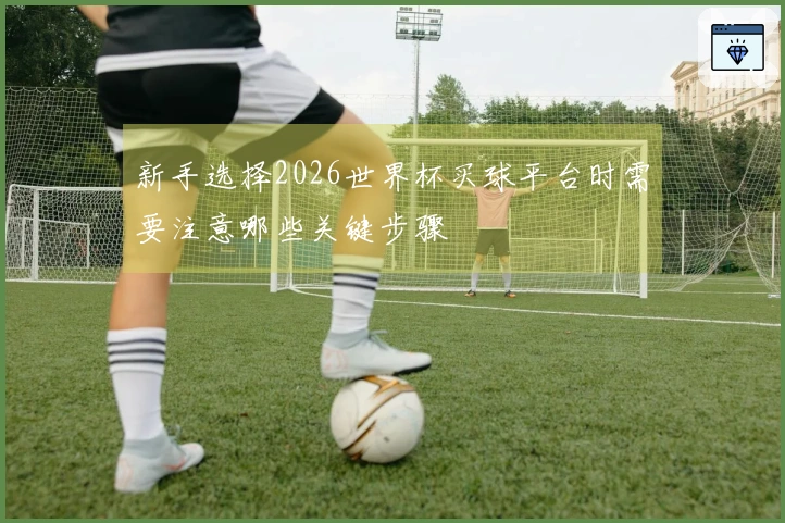 新手选择2026世界杯买球平台时需要注意哪些关键步骤