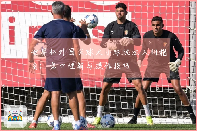 世界杯外围买球大小球玩法入门指南：盘口理解与操作技巧
