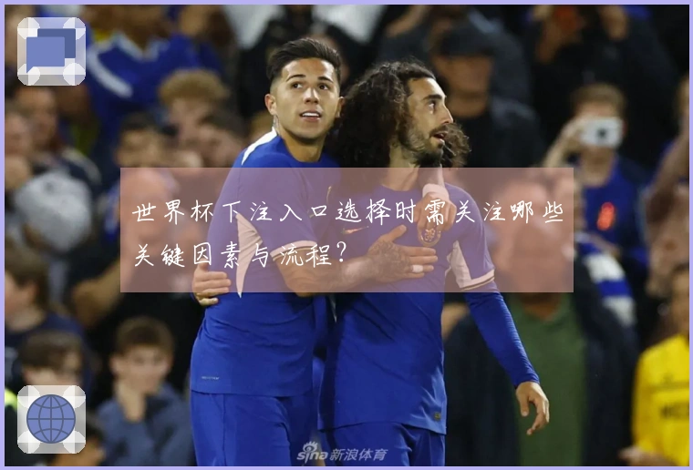 世界杯下注入口选择时需关注哪些关键因素与流程?