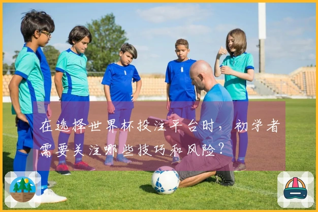 在选择世界杯投注平台时，初学者需要关注哪些技巧和风险？