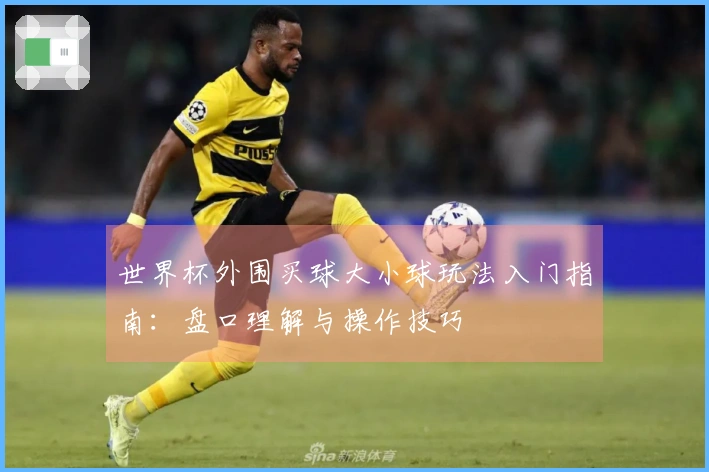世界杯外围买球大小球玩法入门指南:盘口理解与操作技巧