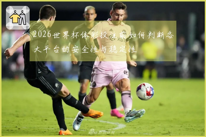 2026世界杯体彩投注前如何判断各大平台的安全性与稳定性