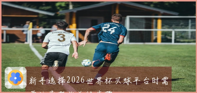 新手选择2026世界杯买球平台时需要注意哪些关键步骤