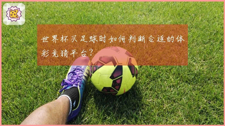 世界杯买足球时如何判断合适的体彩竞猜平台？