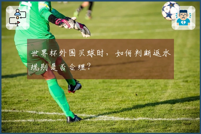 世界杯外围买球时，如何判断返水规则是否合理？