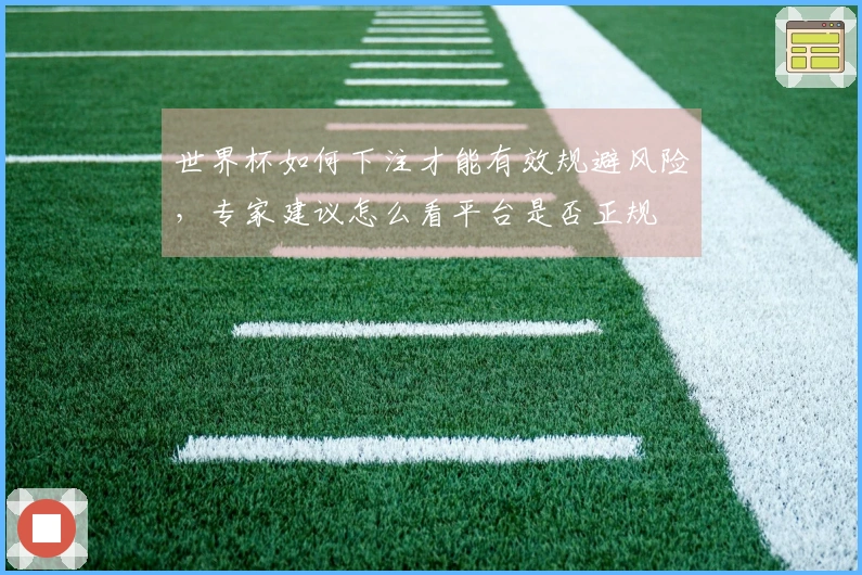 世界杯如何下注才能有效规避风险，专家建议怎么看平台是否正规